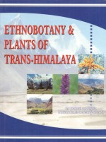Ethnobotany And Plants Of Trans-Himalaya