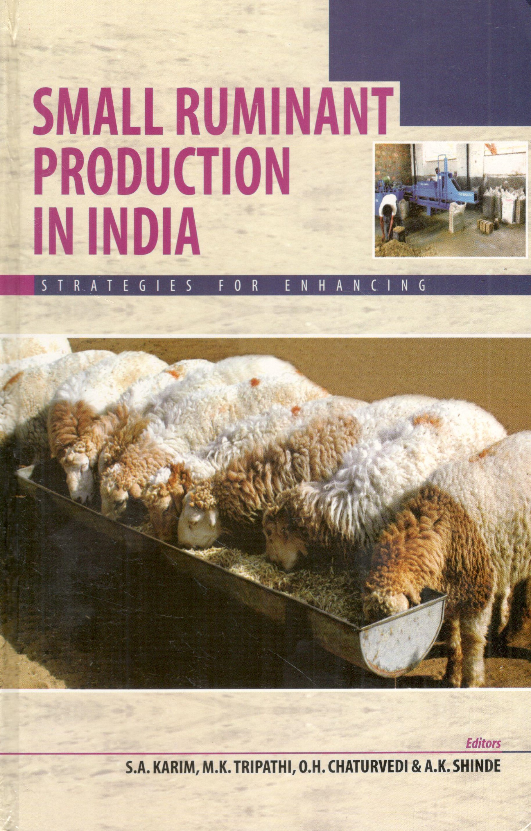 Small Ruminant Production In India Strategies For Enhancing
