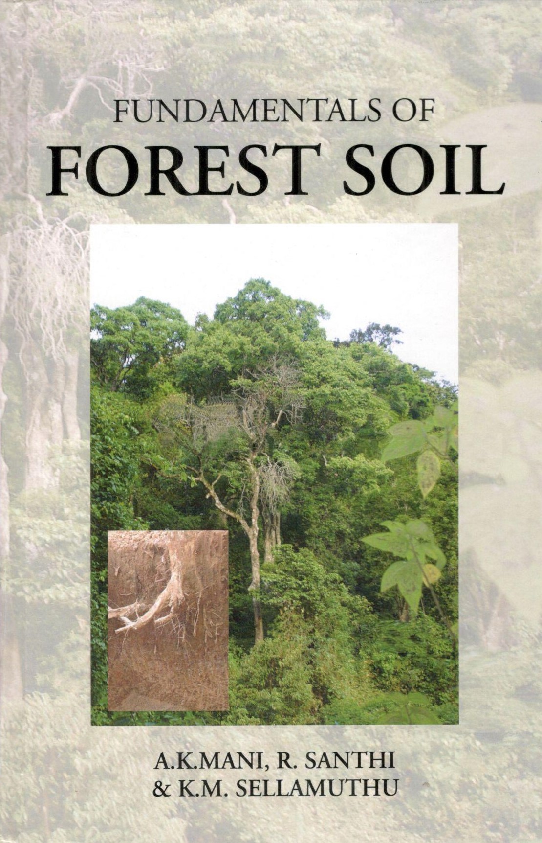 Fundamentals Of Forest Soil