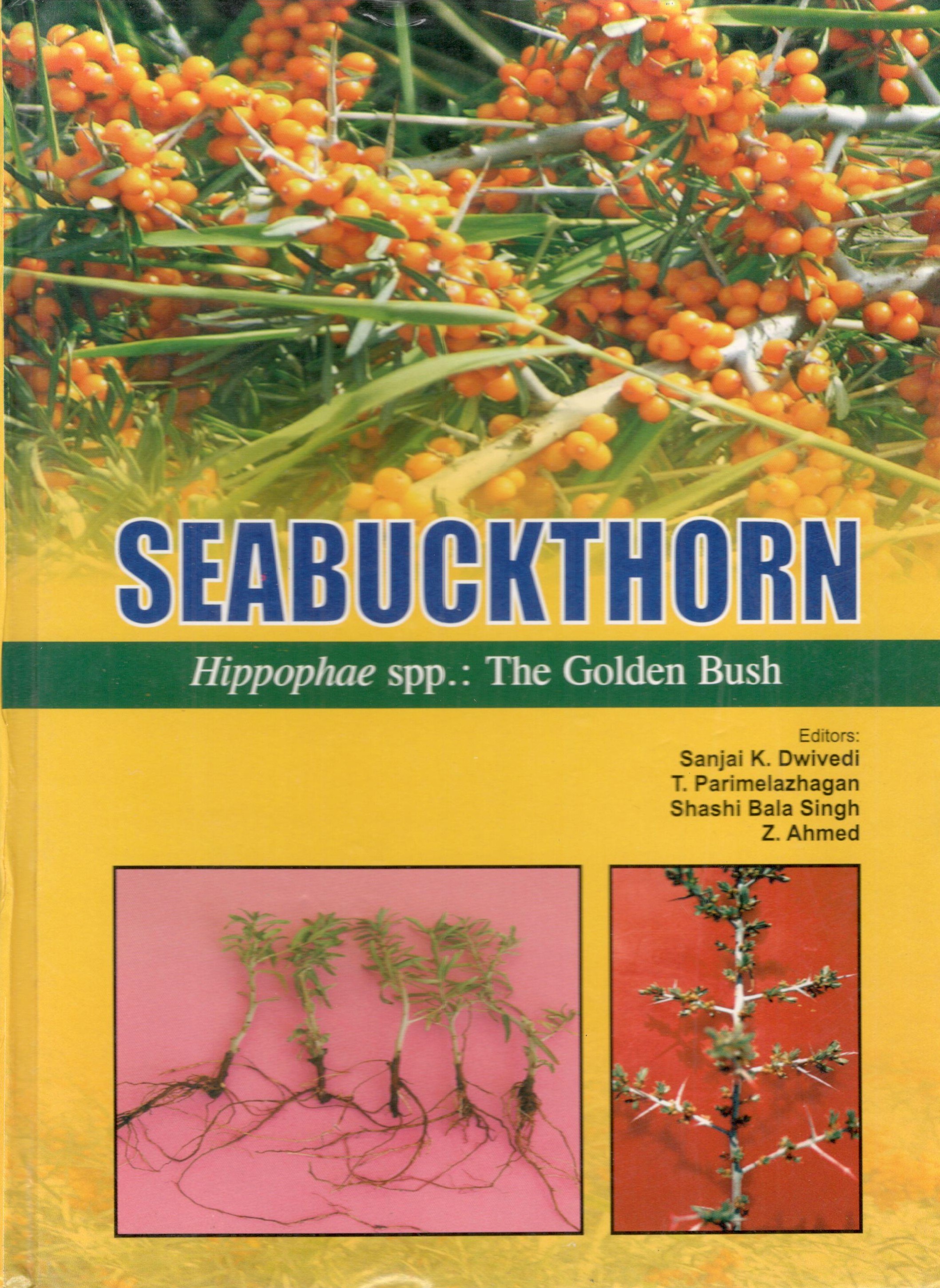 Seabuckthorn Hippophae Spp. The Golden Bush