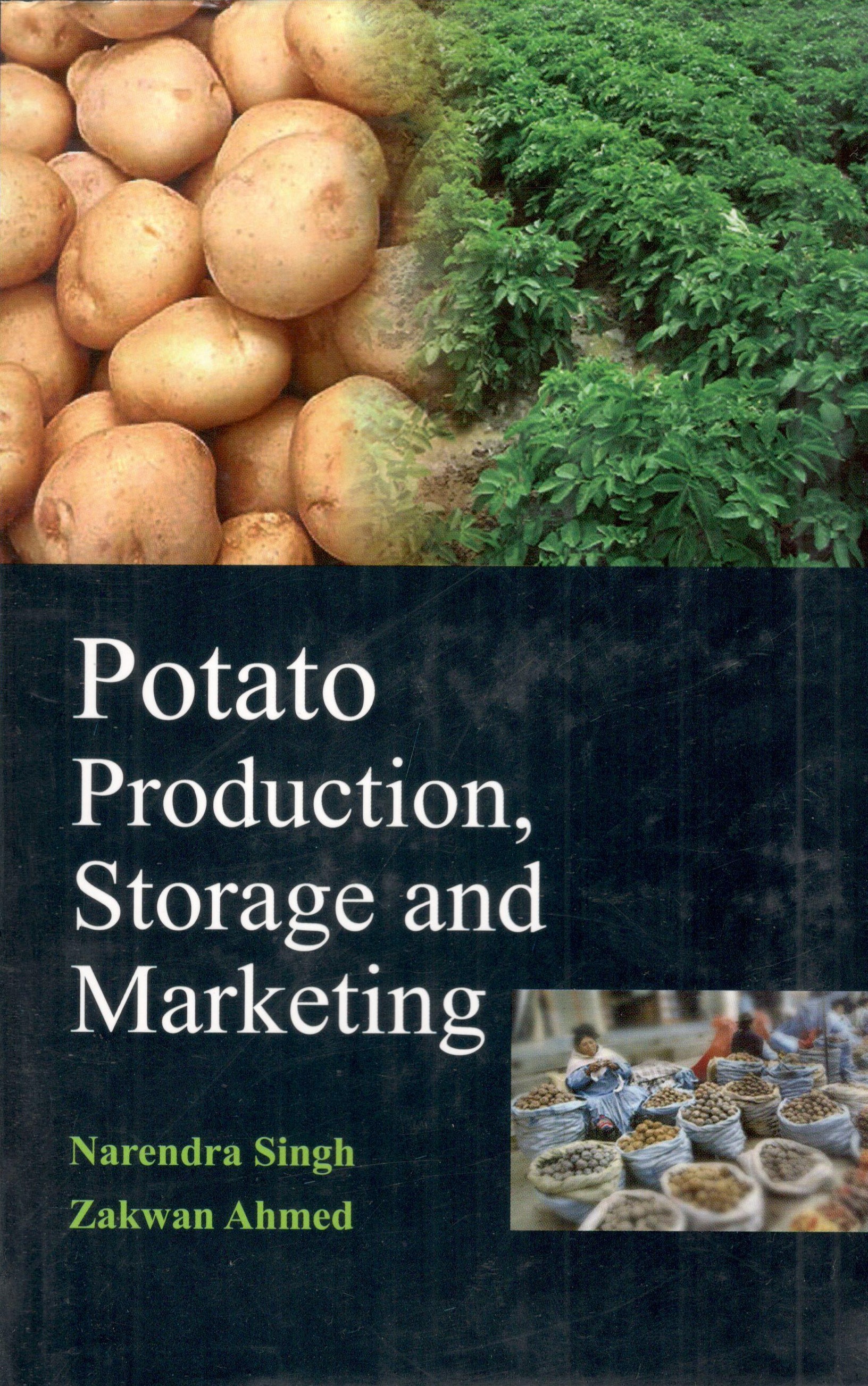 Potato Production Storage And Marketing
