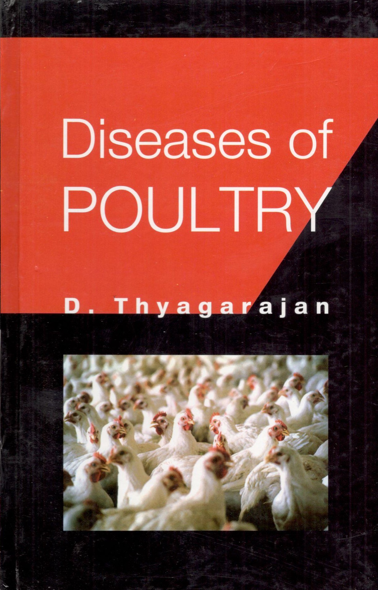 Diseases Of Poultry