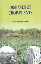 Diseases Of Crops Plants