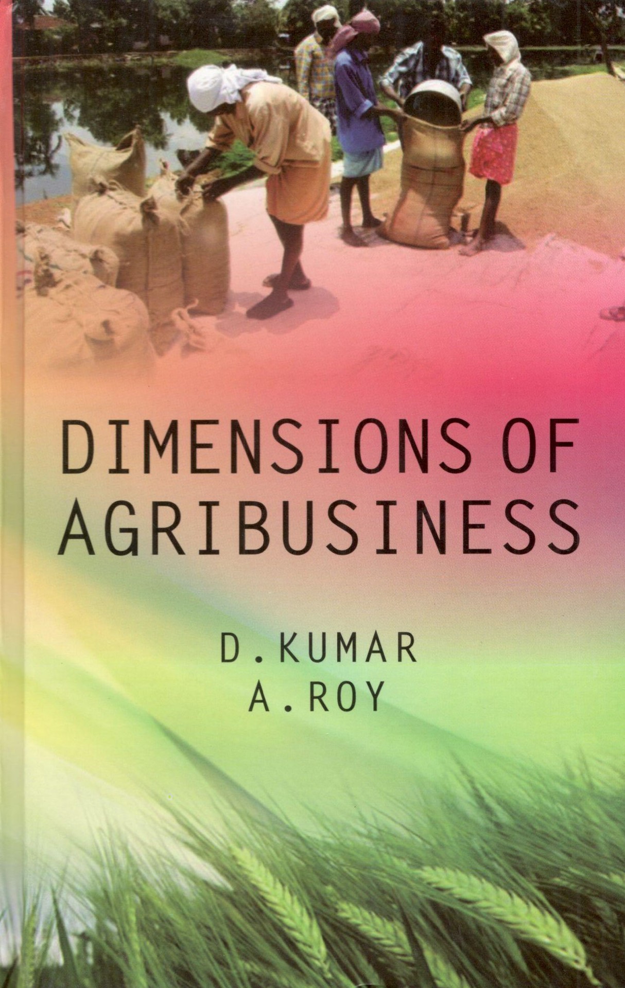 Dimensions Of Agribusiness