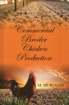 Commercial Broiler Chicken Production