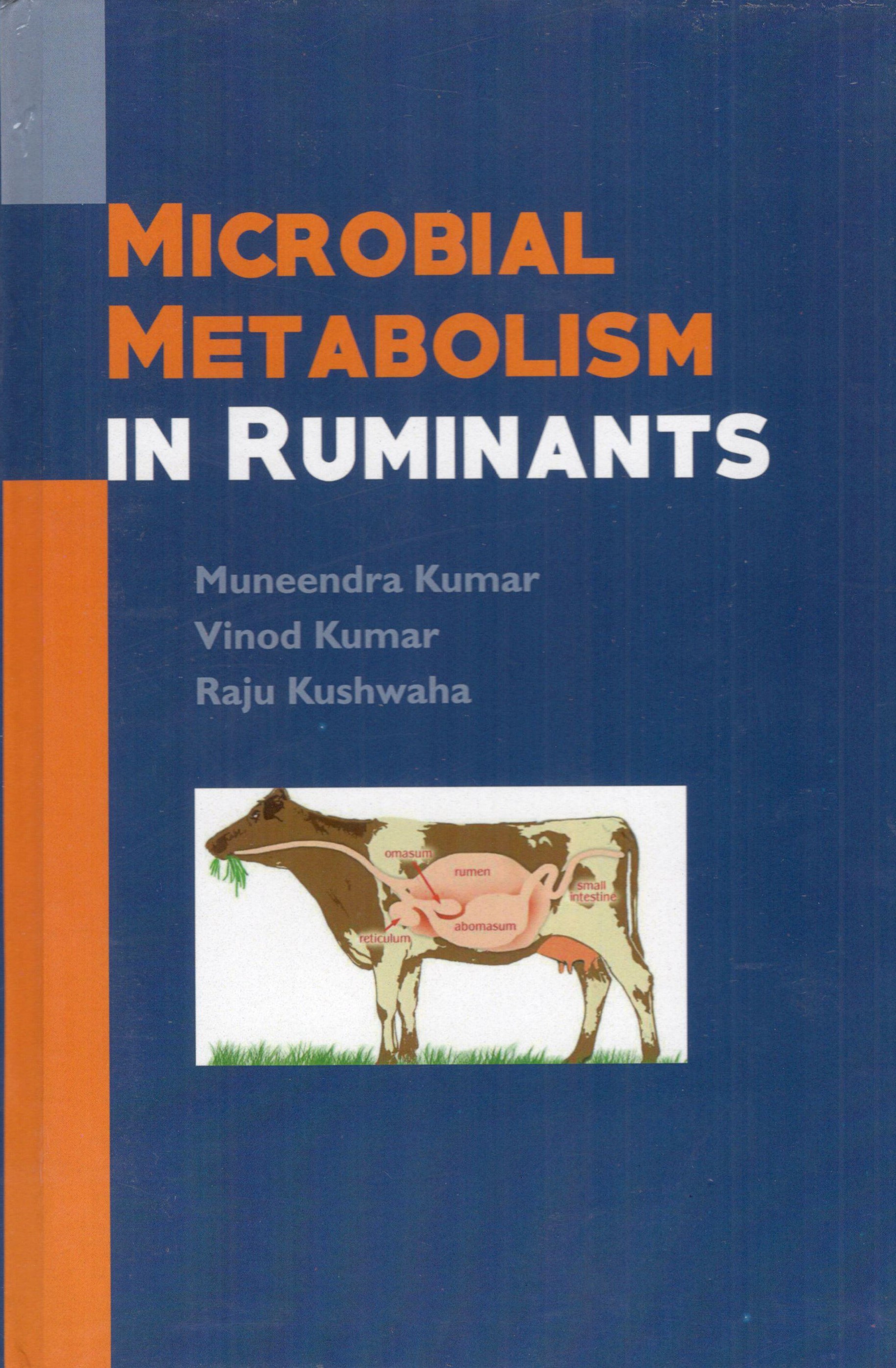 Microbial Metabolism In Ruminants