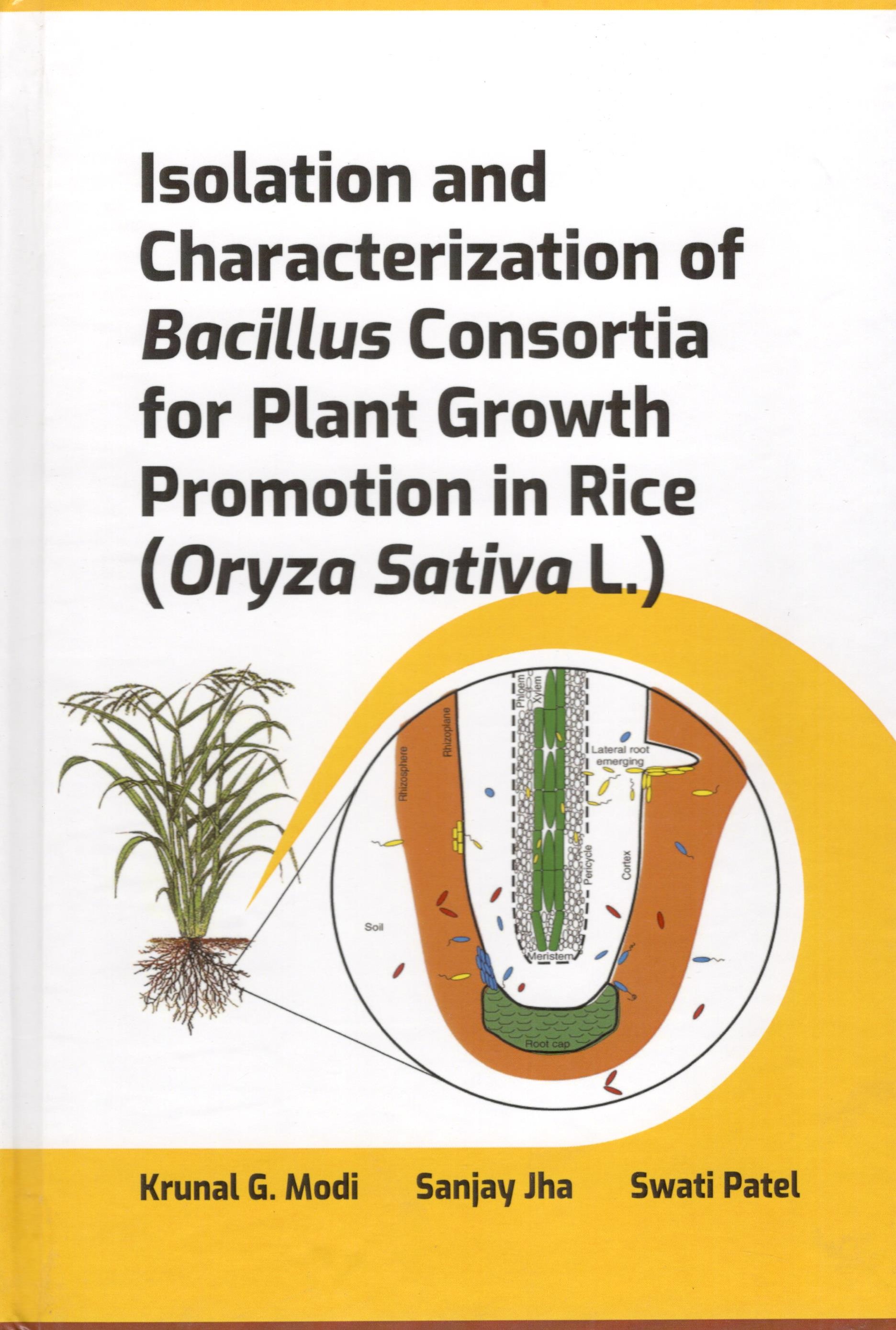 Isolation and Characterization of Bacillus Consortia for Plant Growth Promotion in Rice (Oryza Savita L.)